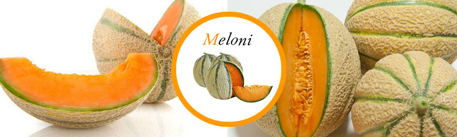 Meloni